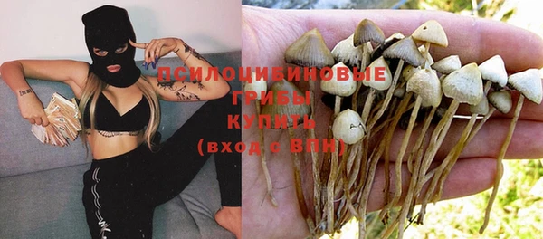 apvp Заводоуковск