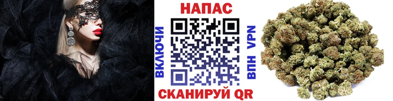 Бошки Шишки сатива  Купить закладки  Белореченск 